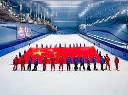 [羽毛球]李诗沣不敌奈良冈功大 遭遇小组赛两连败